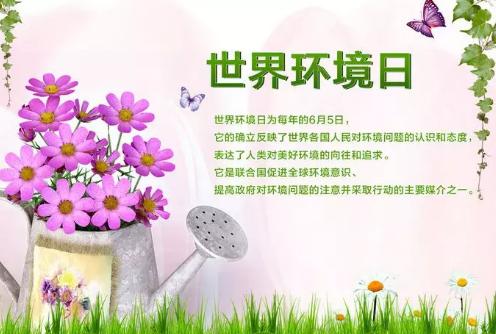 6.5世界環境日:美麗中國（guó） 我是行動者